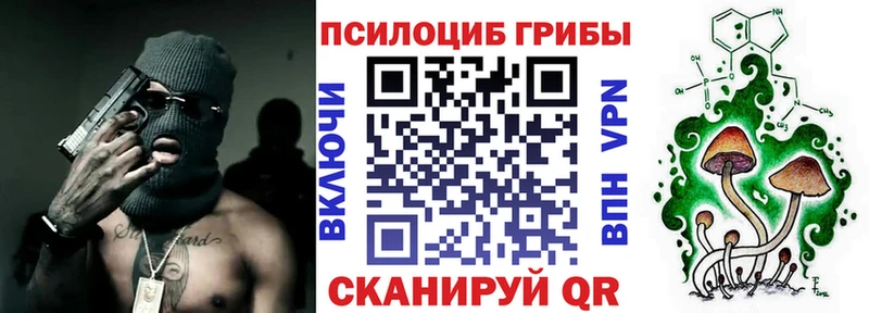 Галлюциногенные грибы ЛСД  Пудож 
